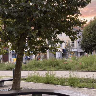 commune de Watermael-Boitsfort